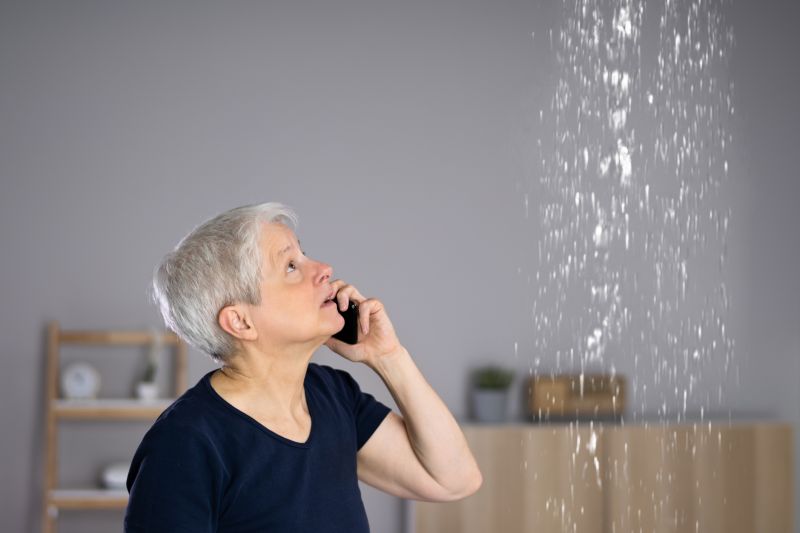 Fountain Water Leak Detection